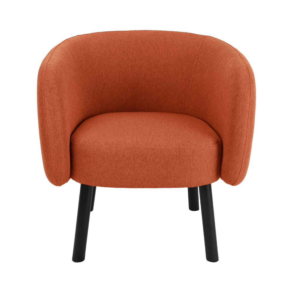 布地のソリッドダイニングチェア