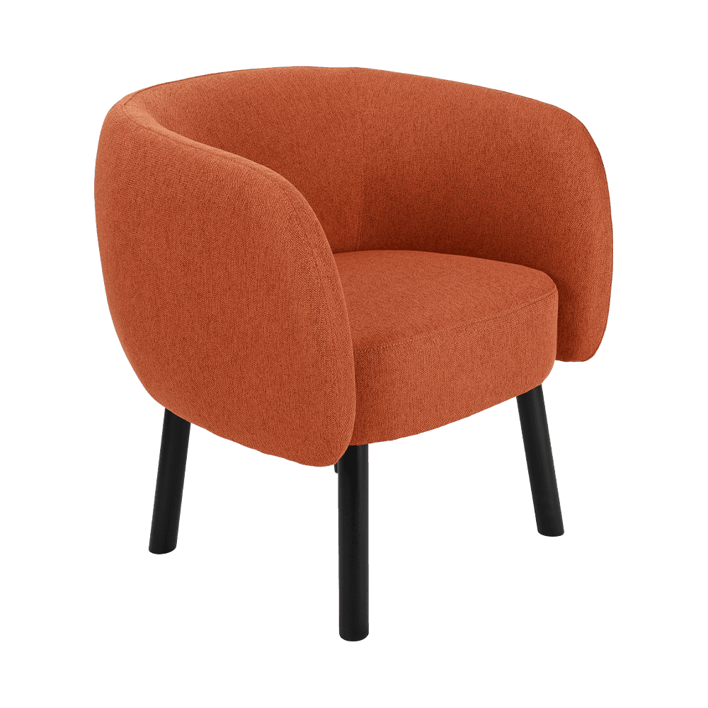 布地のソリッドダイニングチェア