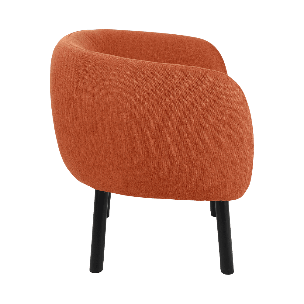 布地のソリッドダイニングチェア